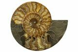 Cut & Polished, Crystal-Filled Ammonite Fossil - Madagascar #317422-1